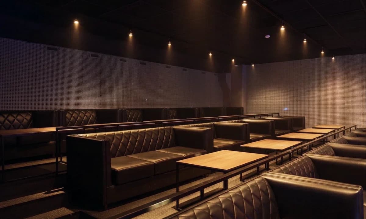 VIP 2